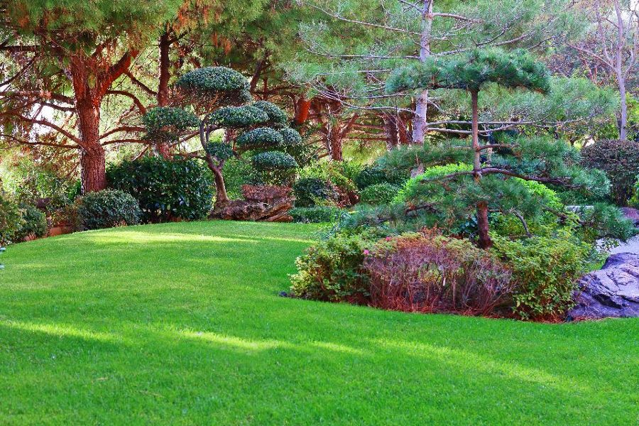 Giardino giapponese