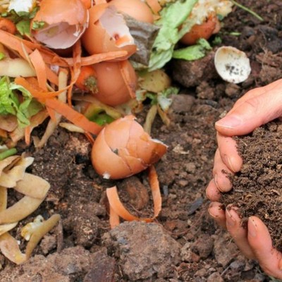 Costruire casa ecologica: riciclo organico