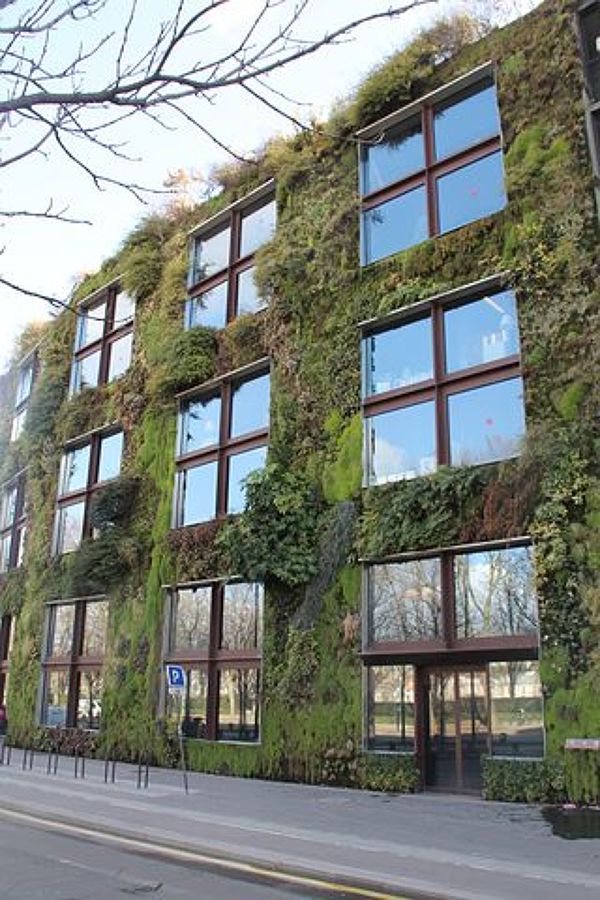 Giardino verticale