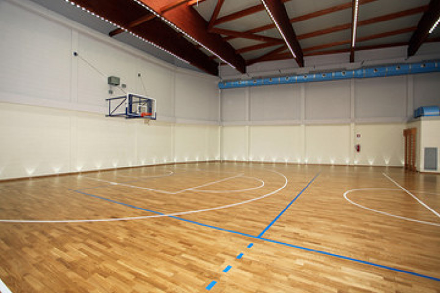 Palestra scolastica