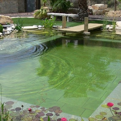 Biopiscine naturali