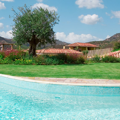 Piscina skimmer