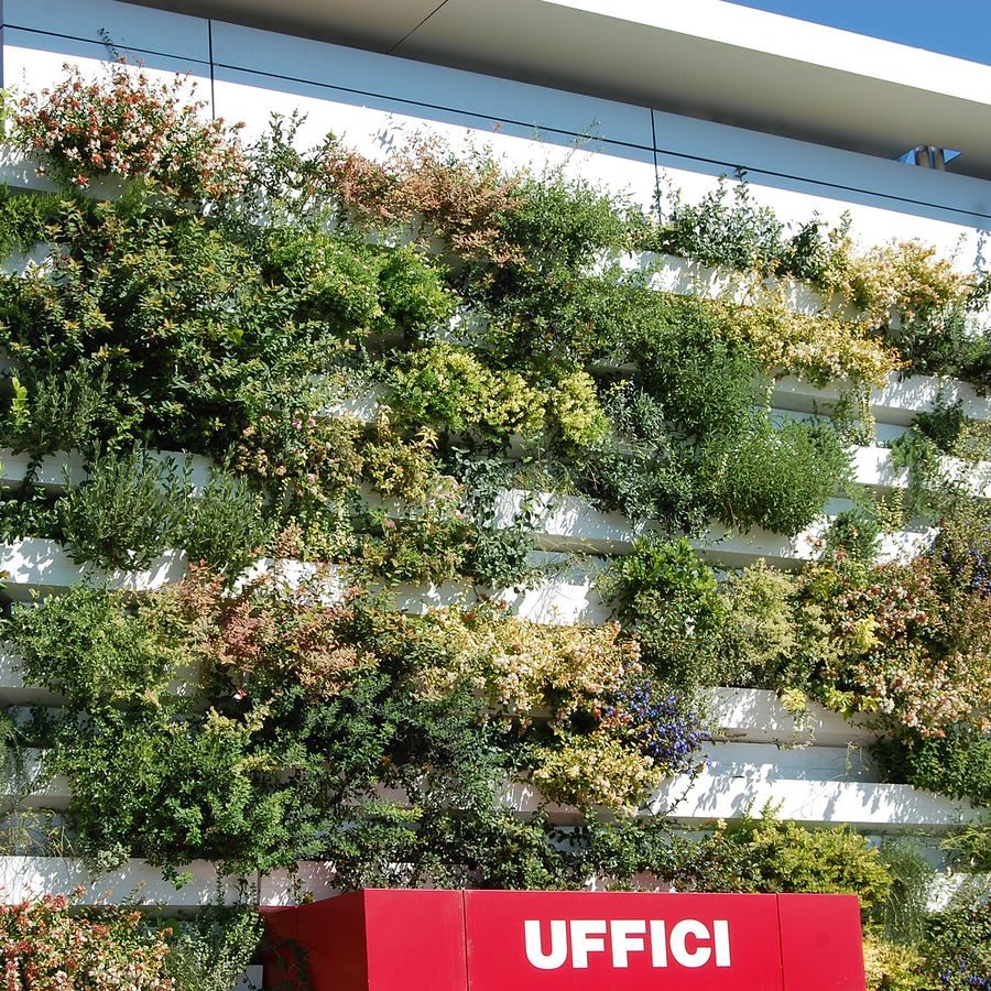 Giardino verticale