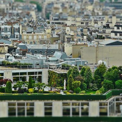 Ristrutturazione per realizzare un giardino pensile