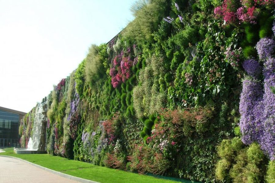 Giardino verticale