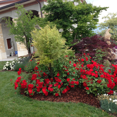 Come sistemare un giardino. trendy trasformare un terreno in ... Come sistemare un giardino