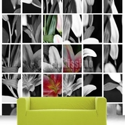 Vetrai, Vetrate Artistiche, Stucchi Decorativi