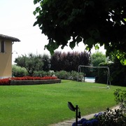 Aiuola con piante ornamentali.