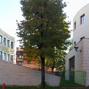 Complesso polifunzionale con scuola di Musica, Cesano Boscone