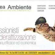 DERATTIZZAZIONE PER TOPI E RATTI