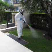 disinfestazione con atomizzatore....