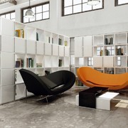 libreria quadro