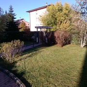 Manutenzione verde condominiale