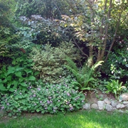 Mixer Border