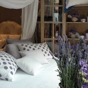 nuova collezione C & C Milano