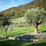Parco villa singola - Spinone al Lago (BG)