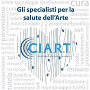Gli specialisti per la salute dell'Arte