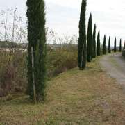 Zona dopo il nostro intervento