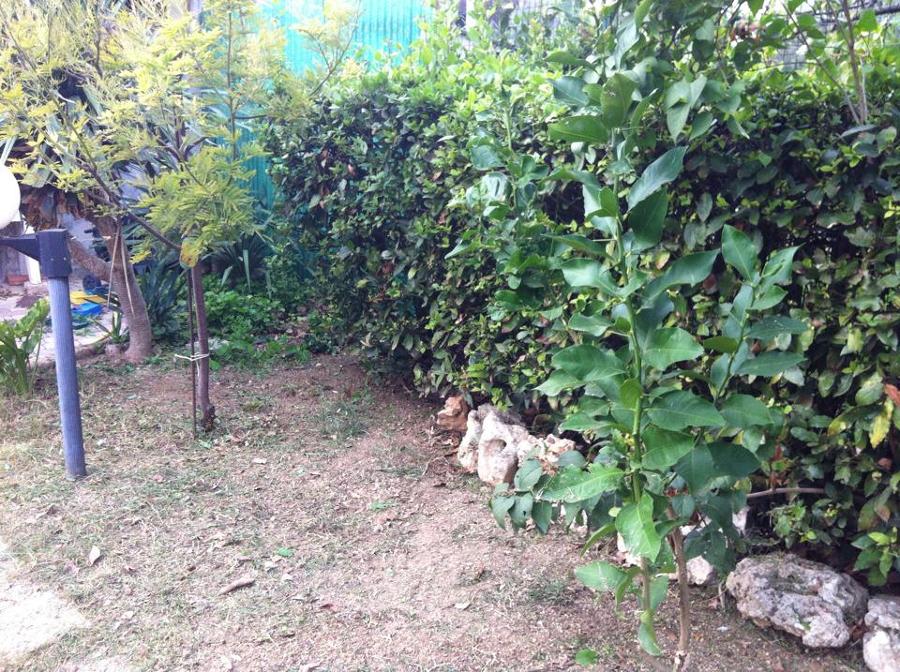 Foto: Manutenzione Giardini di Services Cleaning #280602 - Habitissimo