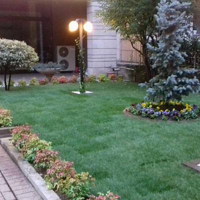 Tutto verde trofarello Progettazione giardini torino