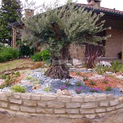 Preventivi e guida alla scelta dei giardinieri habitissimo Quanto costa un giardiniere