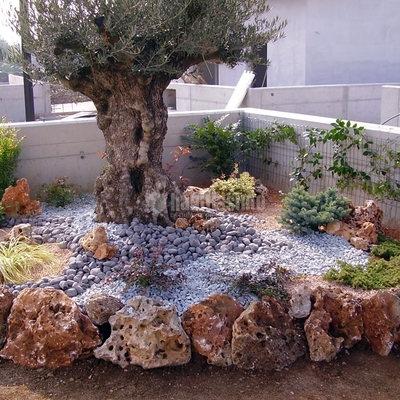 Preventivi e guida alla scelta dei giardinieri habitissimo Quanto costa un giardiniere