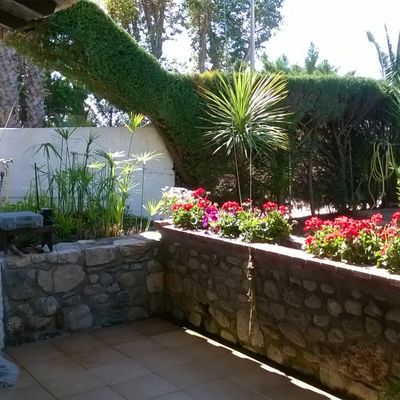 pietra