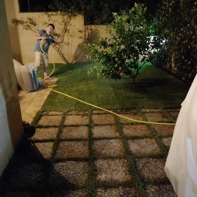 Posare prato