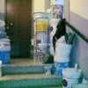 Progetto di costruzione
