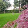 Impianto Irrigazione piu Prato a Semina o Rotoli piu 30 Metri Lineari di Siepe Photinia