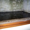 Sostituzione griglie bocche di lupo