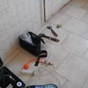 Pulizia caldaia + analis fumi