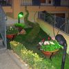 Recintare giardino e piantare siepe