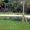 Pulizia bifamiliare mq circa 200 dopo lavori di finitura
