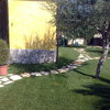 Rifacimento prato erboso