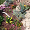 Manutenzione aiuole/giardino