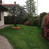 Taglio siepe, pulizia da erbacce parte di giardino con corteccia, pulizia cortile da crescita di erba tra la pavimetazione in massetti di cemento