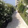 Manutenzione Annuale Giardino Condominiale