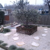 Disinfestazione Giardino Di Mq 3200