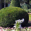 realizzare lavori in giardino a Varese