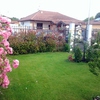 Tappeto sintetico giardino privato