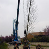 Spostare albero di venti metri