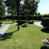 Sbrancatura abete in giardino condominiale