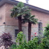 Svuotamento vespaio abitazione