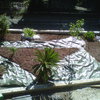 Pulizia e potatura giardino