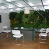 Pulitura appartamento catania
