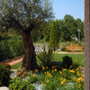 Manutenzione di un piccolo giardino