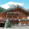 Tagliare e rimuovere albero di limone