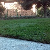 Fornire Prato In Zolle