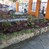 Realizzazione aiuole
